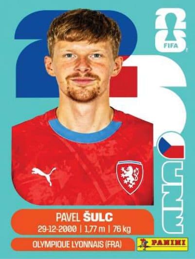 Pavel Šulc