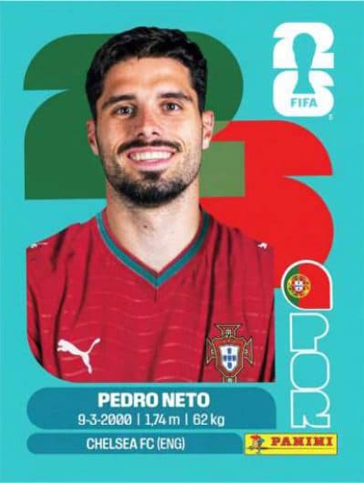 Pedro Neto