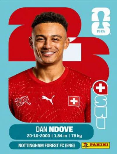 Dan Ndoye