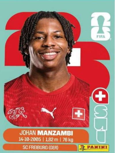Johan Manzambi