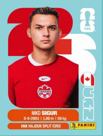 Niko Sigur