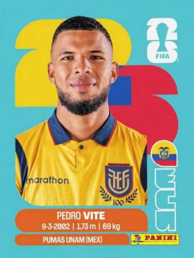 Pedro Vite