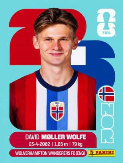David Møller Wolfe